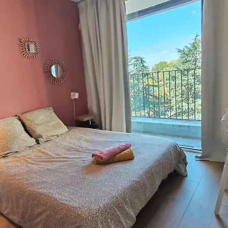 Cosy Flocon Edelweiss - T5 - Vue Pyrenees & Parkings Pau