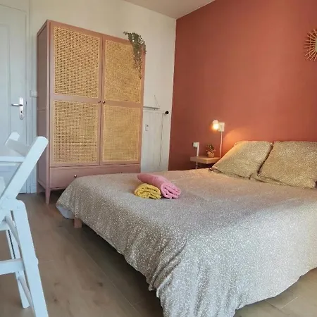Cosy Flocon Edelweiss - T5 - Vue Pyrenees Pau